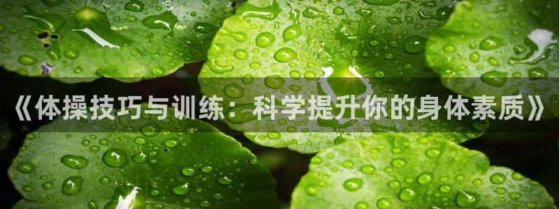 风暴体育安全吗：《体操技巧与训练：科学提升你的身体素质》