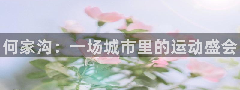 风暴体育篮球直播