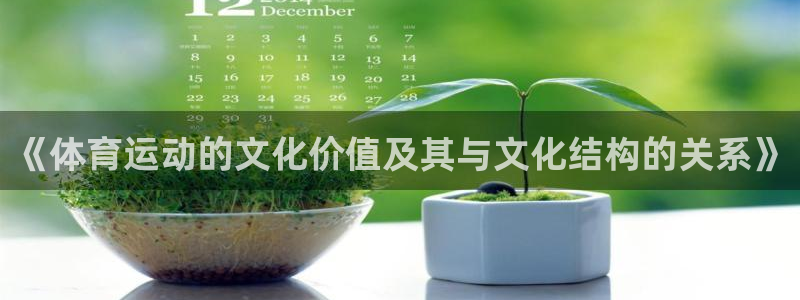 风暴体育比尔拉塞尔：《体育运动的文化价值及其与文化结构的关系》