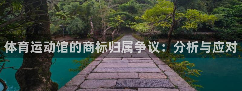 风暴体育邀请码是多少：体育运动馆的商标归属争议：分析与应对