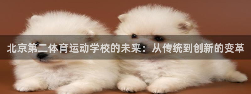 风暴体育苹果下载安装教程