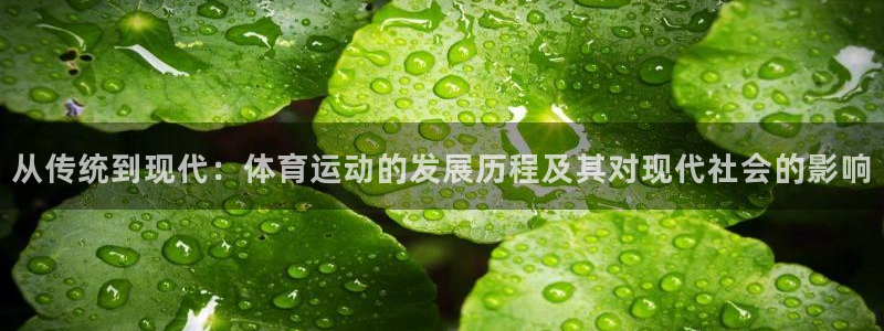 风暴体育篮球直播