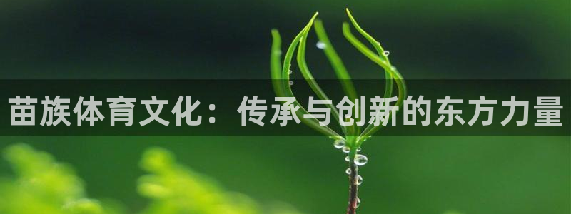 风暴体育邀请码