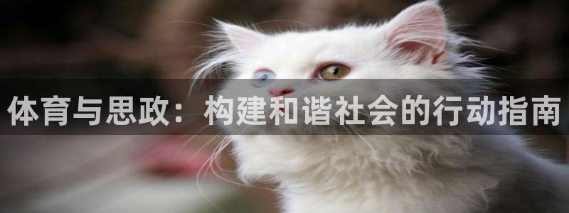 风暴体育入口：体育与思政：构建和谐社会的行动指南