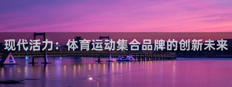 风暴体育安全吗：现代活力：体育运动集合品牌的创新未来